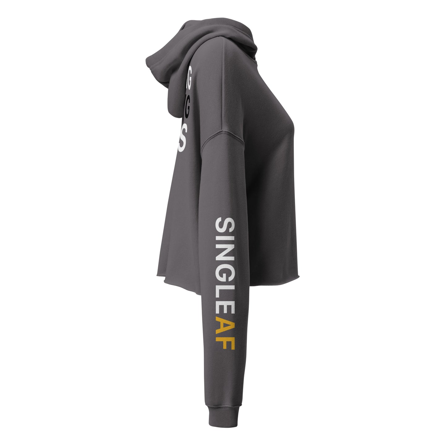 Cropped Hoodie Right Sleeve View Storm